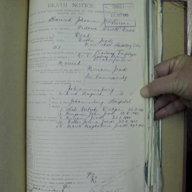 SDC10330