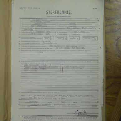 SDC10519