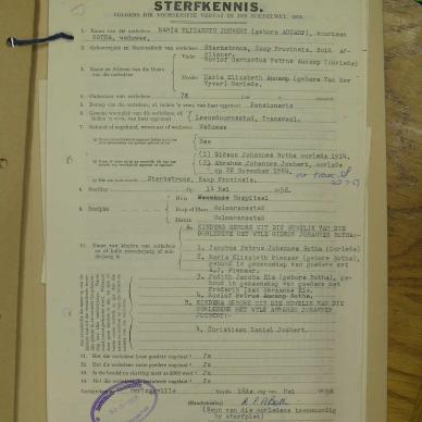 SDC10993