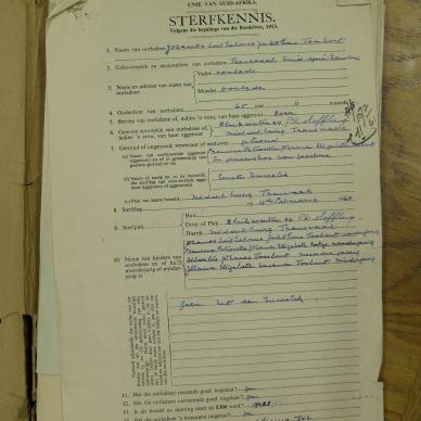 SDC10273