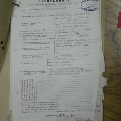 SDC10410