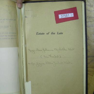 SDC10225