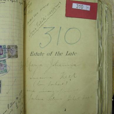 SDC10819