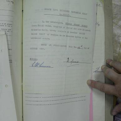 SDC10219