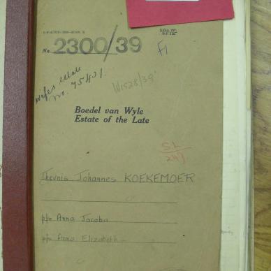 SDC10286