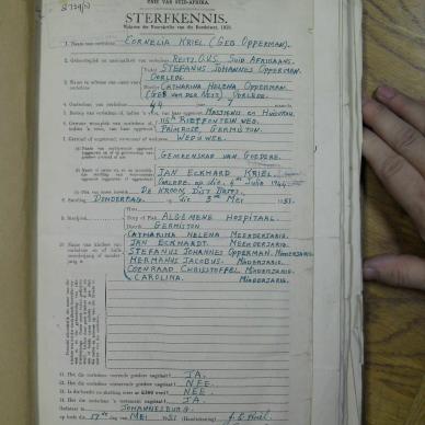SDC10346