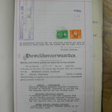 SDC11565