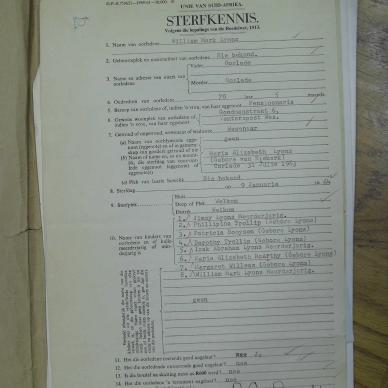 SDC10411