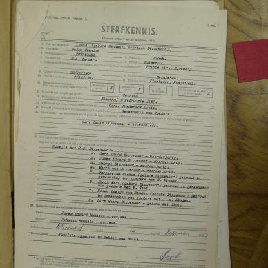 SDC10563
