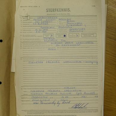 SDC19499