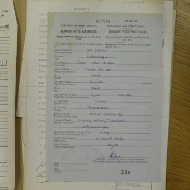 SDC19500