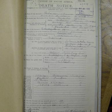 SDC10119