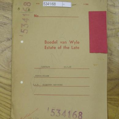 SDC10527