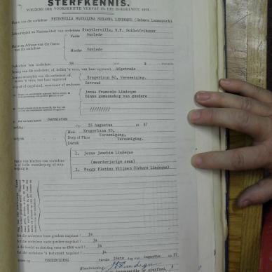 SDC10420