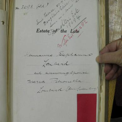 SDC10248