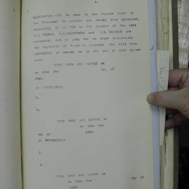 SDC10258