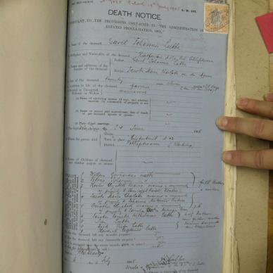 SDC10620