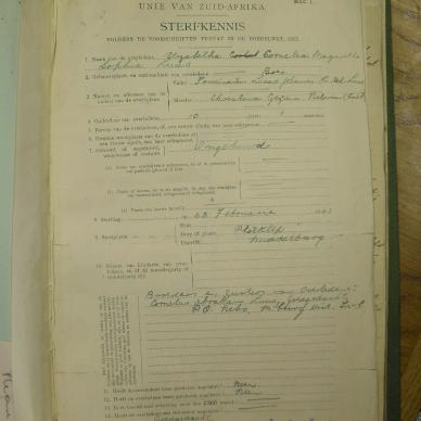 SDC10286