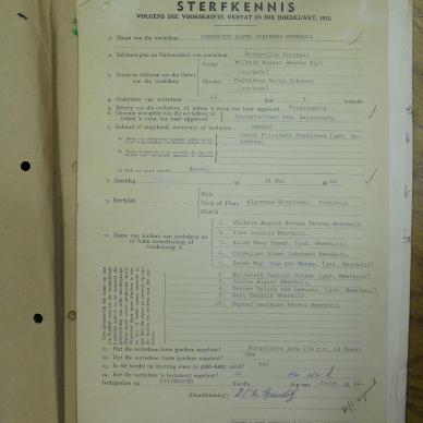 SDC13544