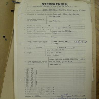 SDC12481