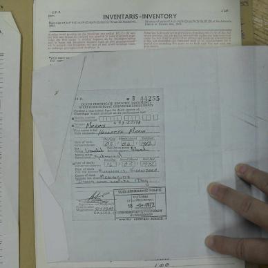 SDC10915