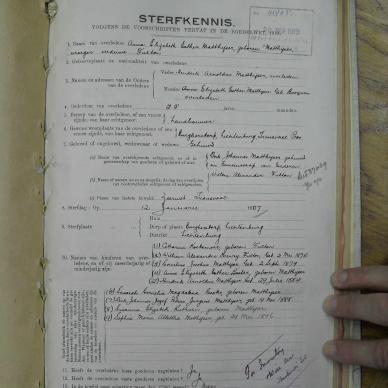 SDC10239