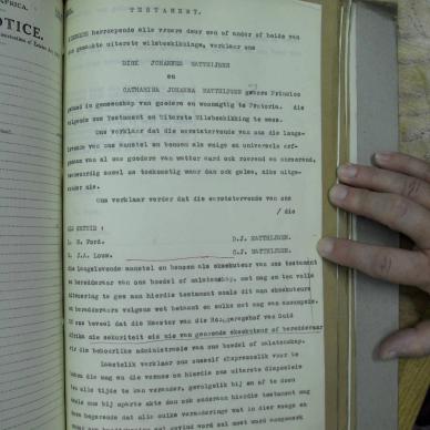 SDC10295