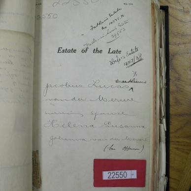 SDC10193