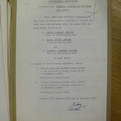 SDC19533