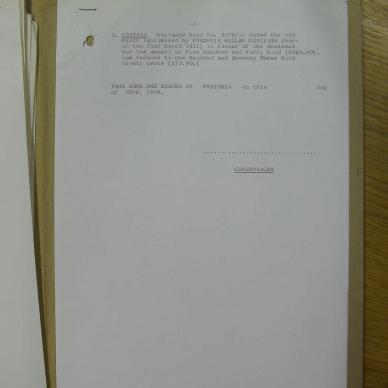 SDC19535