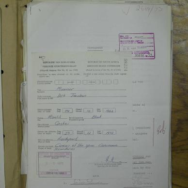 SDC19909