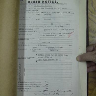 SDC10334