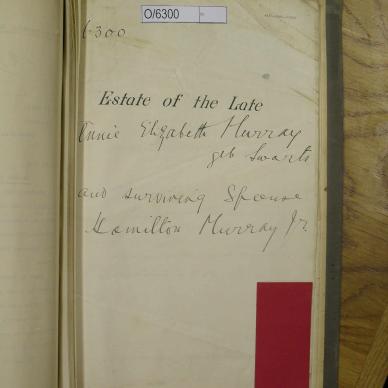 MURRAY Annie Elizabeth geb SWARTS - died 9 May 1891