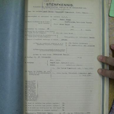 SDC10367