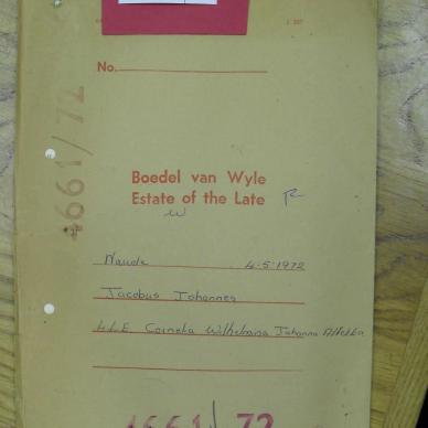 SDC10411