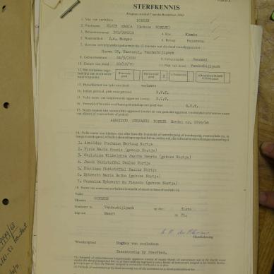 SDC10710