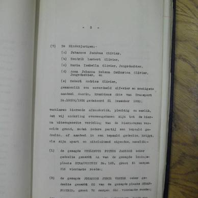 SDC10206