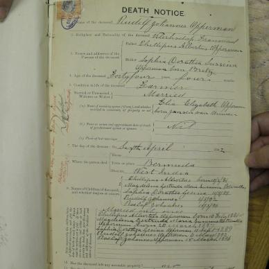 SDC10527