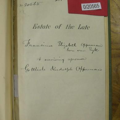 SDC17249