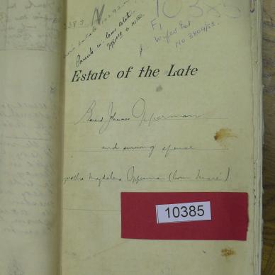 SDC10651