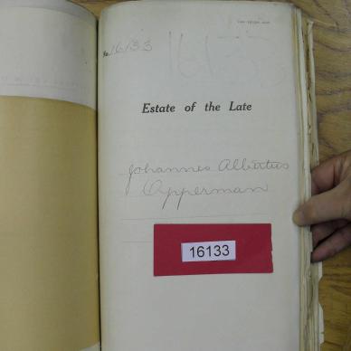 SDC10724