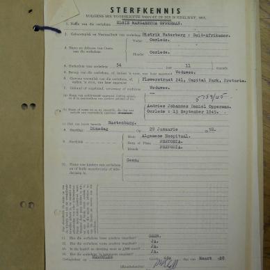 SDC12437