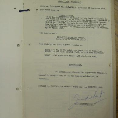 SDC12439