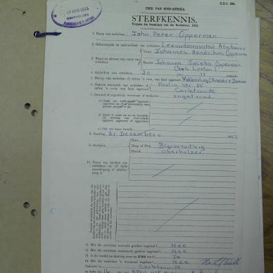 SDC12531