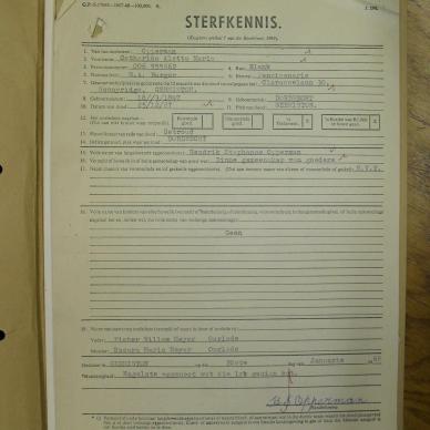 SDC15320