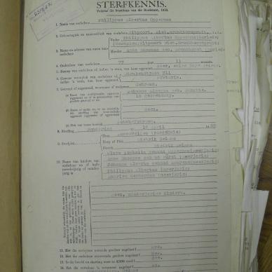 SDC11627