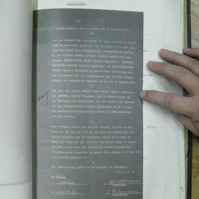 SDC11731