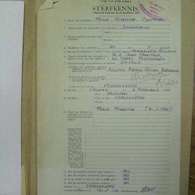 SDC13558