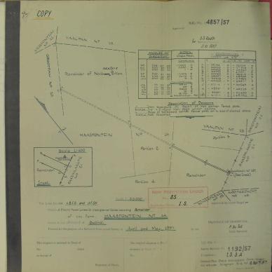 SDC13490