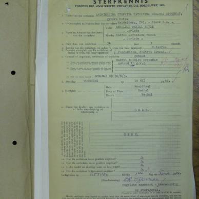 SDC13477